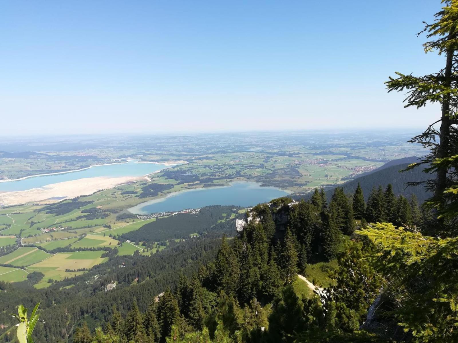 Alpenrose Appartements Nesselwang Eksteriør bilde