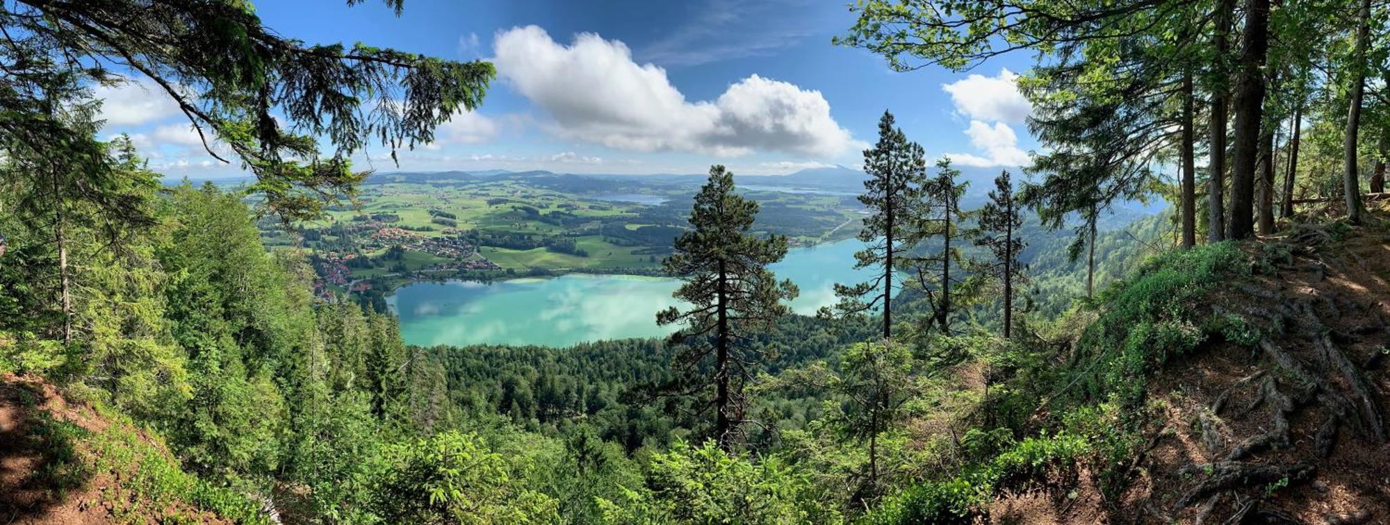 Alpenrose Appartements Nesselwang Eksteriør bilde